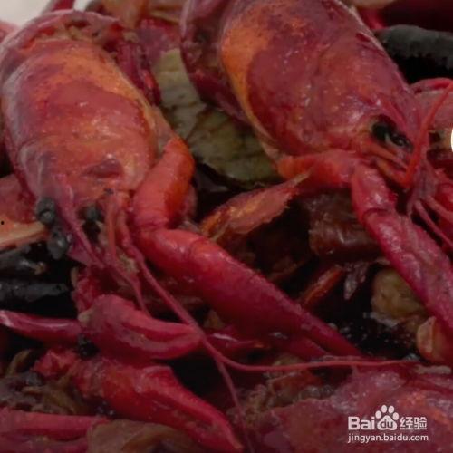 爆料龙虾做法视频教程图片,跟随视频教程轻松学会经典做法 第1张 爆料龙虾做法视频教程图片,跟随视频教程轻松学会经典做法 第1张